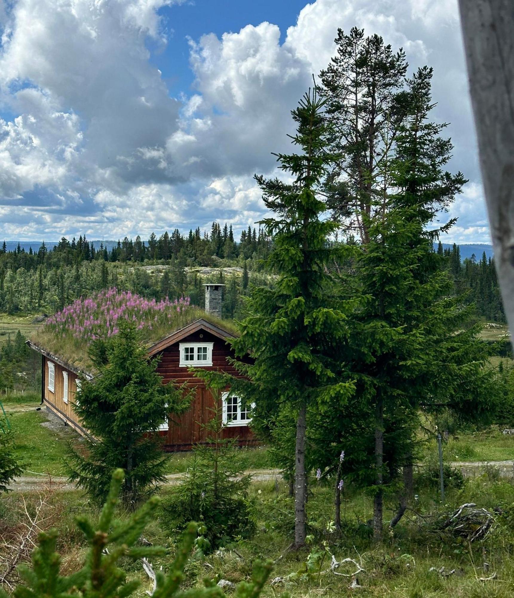 Lostegard Cabins Gol Zewnętrze zdjęcie