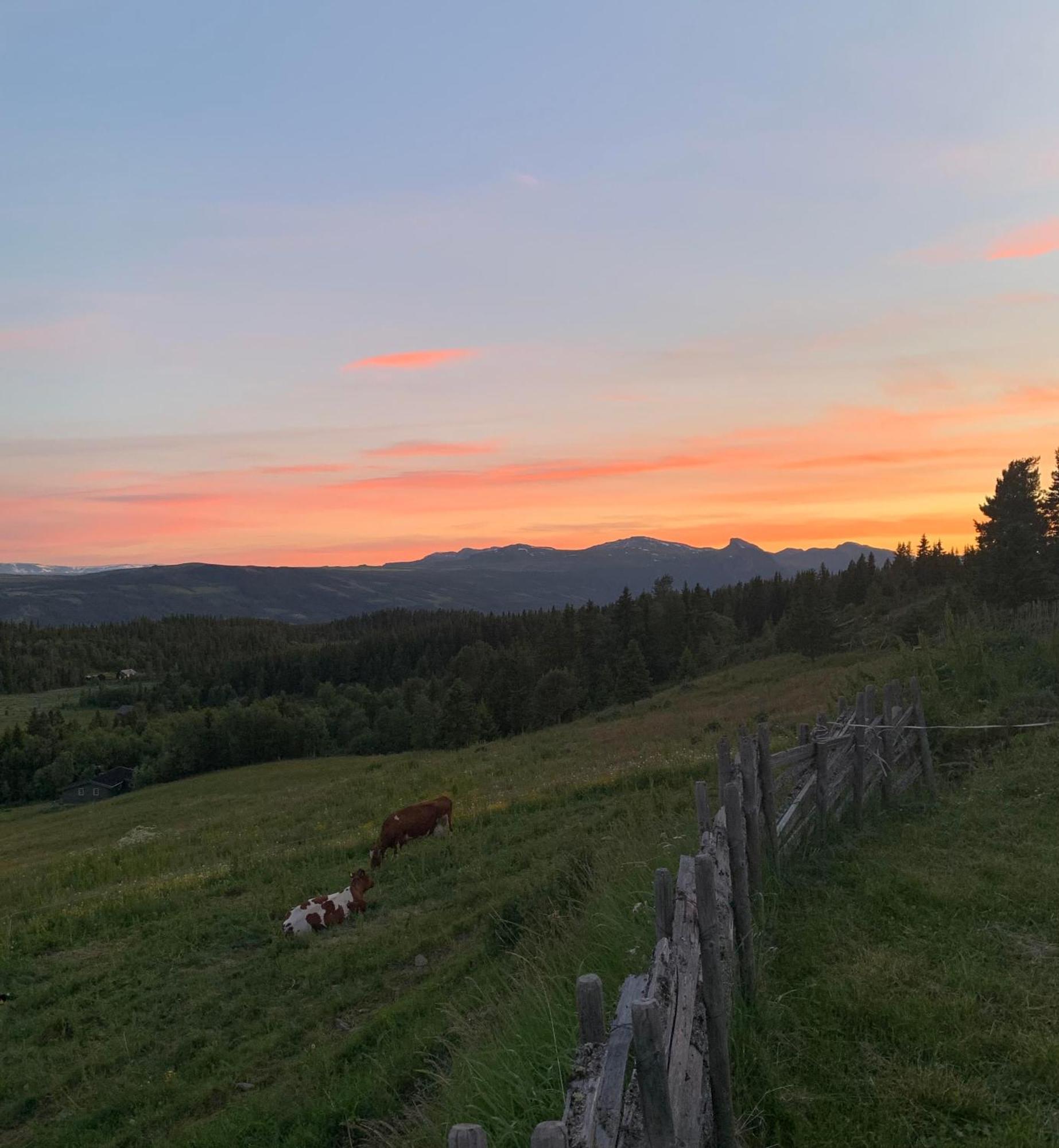 Lostegard Cabins Gol Zewnętrze zdjęcie